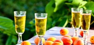 12 helppoa, askel askeleelta kotitekoista aprikoosiviiniä-reseptiä