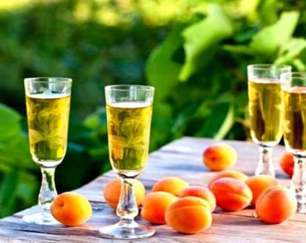 12 vienkāršas, pakāpeniskas mājas aprikožu vīna receptes