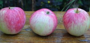 Opis a charakteristika odrody jabloní Bashkirskaya krasavitsa, výhody a nevýhody