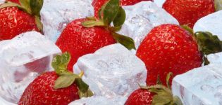 Πώς να παγώσετε σωστά τις φράουλες στο σπίτι για το χειμώνα
