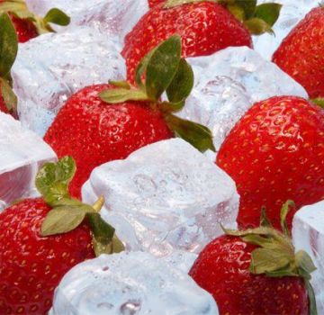 Paano maayos na i-freeze ang mga strawberry sa bahay para sa taglamig