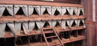 How to make a do-it-yourself nest for laying hens with an egg collector at home