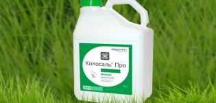 Instrucțiuni de utilizare a fungicidului Kolosal, rate de consum și analogi
