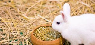 Koľkokrát denne by sa mali králiky kŕmiť a tabuľku príjmov krmiva