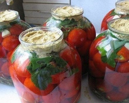 TOP 14 recetas para enlatar tomates con mostaza para el invierno