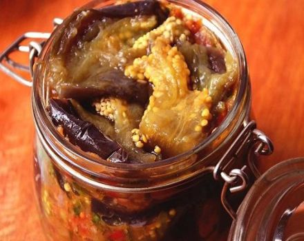 Step-by-step description of the Armenian recipe for Imam Bayaldi for the winter