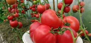 Description de la variété de tomate Vin de framboise, ses caractéristiques et son rendement