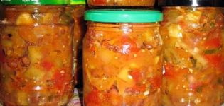 Leckere Rezepte für die Zubereitung von Zucchini mit Bohnen für den Winter