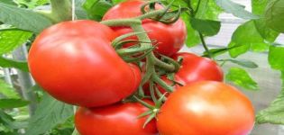 Περιγραφή της ποικιλίας ντομάτας Kupchikha, των πλεονεκτημάτων και της καλλιέργειάς της