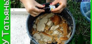 Kako napraviti i pravilno hraniti krastavce infuzijom kruha