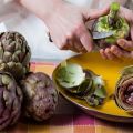 Useful properties and contraindications of artichoke, harm to human health and use as a medicinal plant