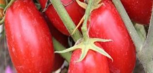 Descripción del tomate Solokha y características de la variedad.