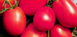 De Barao tomātu raksturojums un apraksts