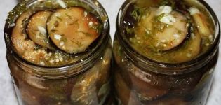2 best eggplant recipes in oil for the winter