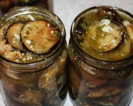 2 best eggplant recipes in oil for the winter