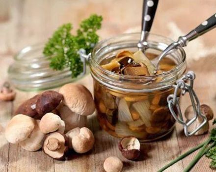 How much and where can you store homemade pickled mushrooms
