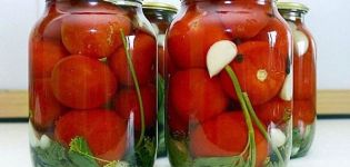 10 receptų marinuotų ir karštų saldžių pomidorų gamybai žiemai