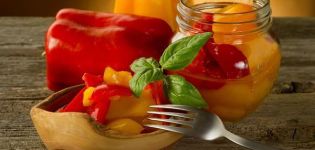 TOP 12 heerlijke recepten voor het zouten van paprika voor het hele winterseizoen
