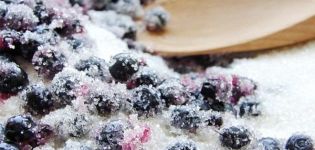 9 bästa recept för att göra blåbär med socker för vintern utan matlagning