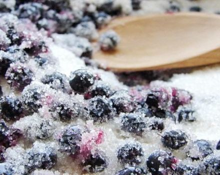 9 nejlepších receptů na výrobu borůvek s cukrem na zimu bez vaření