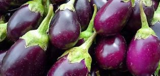 Beschrijving van de auberginesoort Japanse dwerg, zijn kenmerken en opbrengst