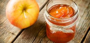 TOP 10 des recettes pour faire de la confiture de pommes - cinq minutes pour l'hiver
