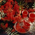 TOP 16 simple recipes for red rowan jam for the winter at home