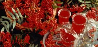 TOP 16 einfache Rezepte für rote Ebereschenmarmelade für den Winter zu Hause
