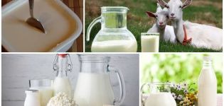 Recipes for making goat milk sour cream at home