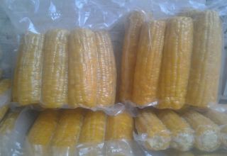 How to store corn on the cob for the winter at home