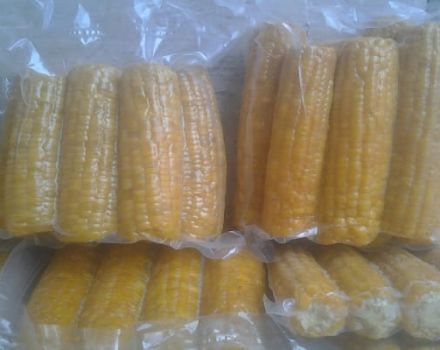 Jak przechowywać kolbę kukurydzy na zimę w domu