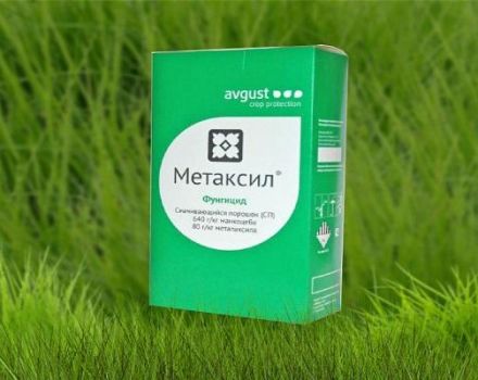 Pokyny k použití fungicidu Metaxil, mechanismu účinku a míry spotřeby