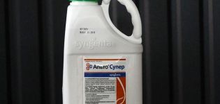 Instructions for the use of fungicide Alto Super and how to prepare a working solution