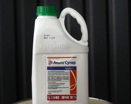 Norādījumi par fungicīda Alto Super lietošanu un kā sagatavot darba šķīdumu