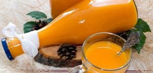TOP 6 recipes for making pumpkin-apple juice for the winter