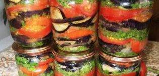 5 beste recepten voor aubergine-voorgerechten met tomaten en knoflook voor de winter