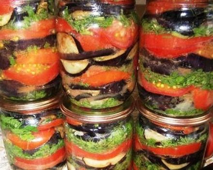 5 best eggplant appetizer recipes with tomatoes and garlic for the winter