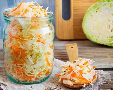 8 pinakamahusay na instant sauerkraut na mga recipe na masarap at makatas