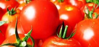 Characteristics and description of the tomato variety Tatyana