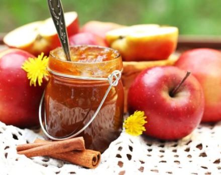 Top 6 recepata za pravljenje džema od jabuka i cimeta za zimu i čuvanje