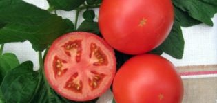 Pomidorų veislės Anyuta charakteristikos ir aprašymas, derlius