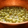 Ricette semplici per preparare la gelatina di uva spina per l'inverno