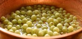 Simple recipes for making gooseberry jelly for the winter
