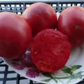 Description of the variety of tomato Siberian apple, characteristics and productivity