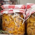 Jednostavni detaljni recepti za soljenje gljiva kod kuće za zimu u staklenkama