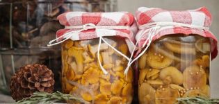 Simple step-by-step recipes for salting mushrooms at home for the winter in jars