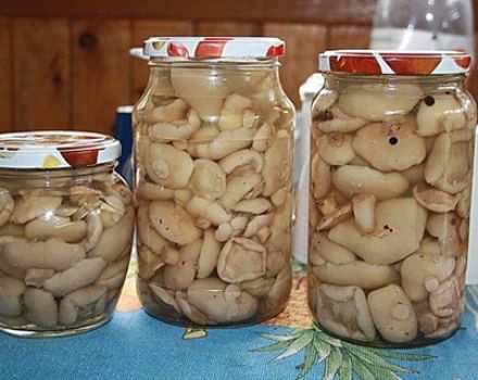 A simple and delicious recipe for making pickled butter for the winter at home