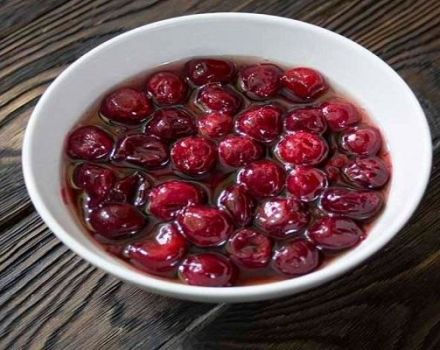 Step-by-step recipe for making cherries in pitted syrup for the winter