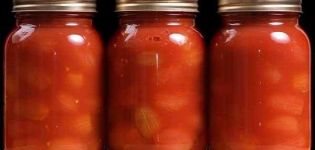 TOP 15 Rezepte für die Konservierung von Tomaten in Tomatenmark für den Winter