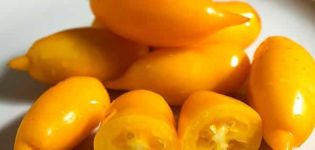 Golden Canary domates çeşidinin tanımı ve özellikleri